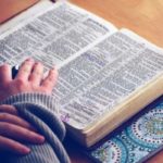 ¿Como está dividida la Biblia?