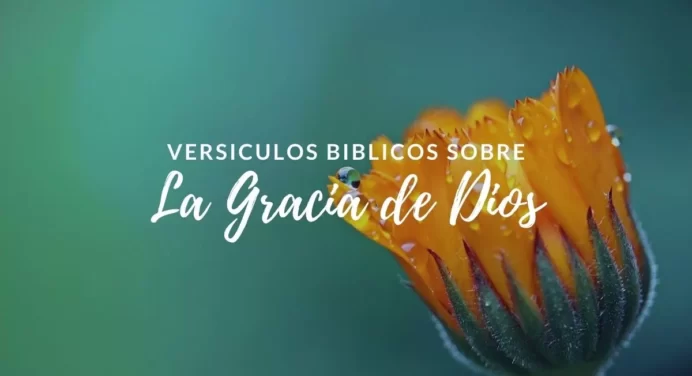 50 Versículos sobre La Gracia de Dios en la Biblia