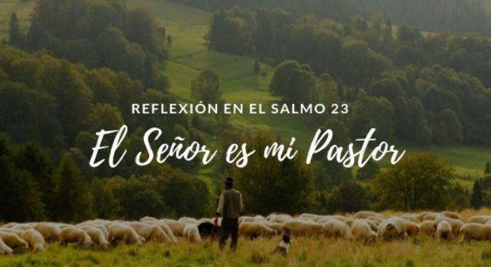 ▷ El Señor es mi Pastor, Nada me Faltará - Reflexión en el Salmo 23