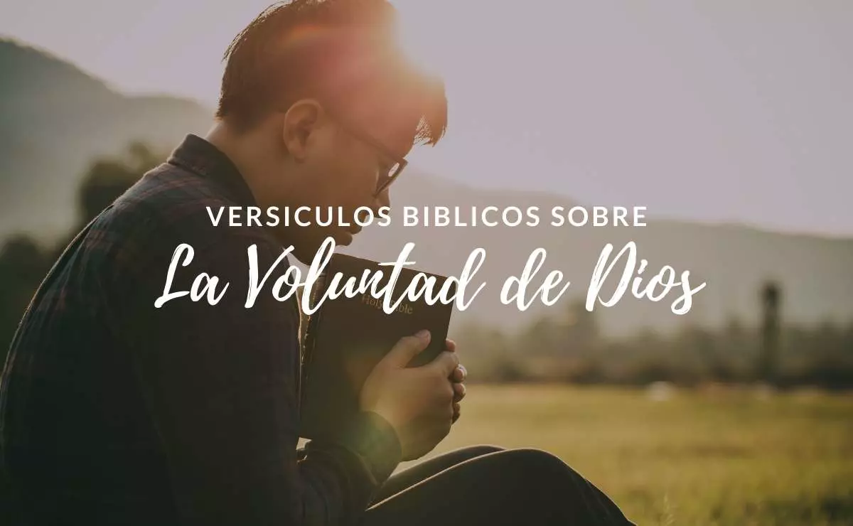 Versículos Bíblicos sobre la Voluntad de Dios