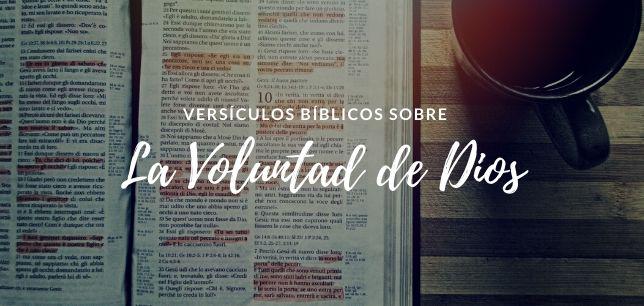 20 Versículos De La Biblia Sobre La Voluntad De Dios - Textos Bíblicos