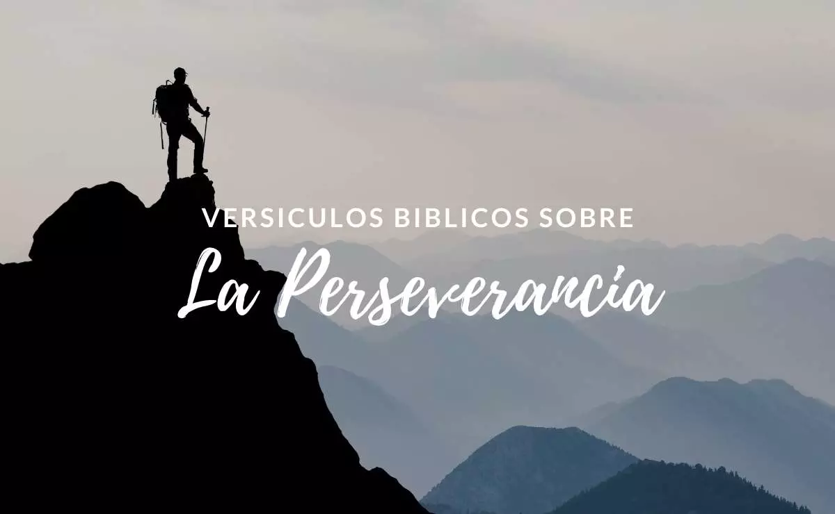 20 Versículos de la Biblia sobre Perseverancia - Textos Bíblicos