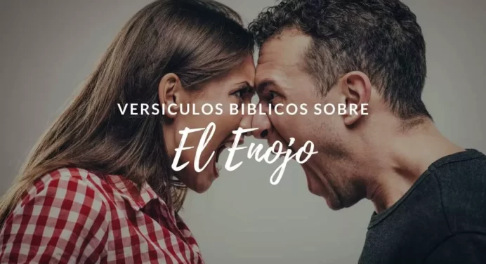 20 Versículos de la Biblia sobre el Enojo y la Ira