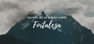 27 Salmos De Fortaleza Y Animo En Momentos Difíciles - Citas Bíblicas