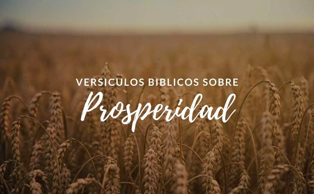 Versículos Bíblicos sobre la Prosperidad