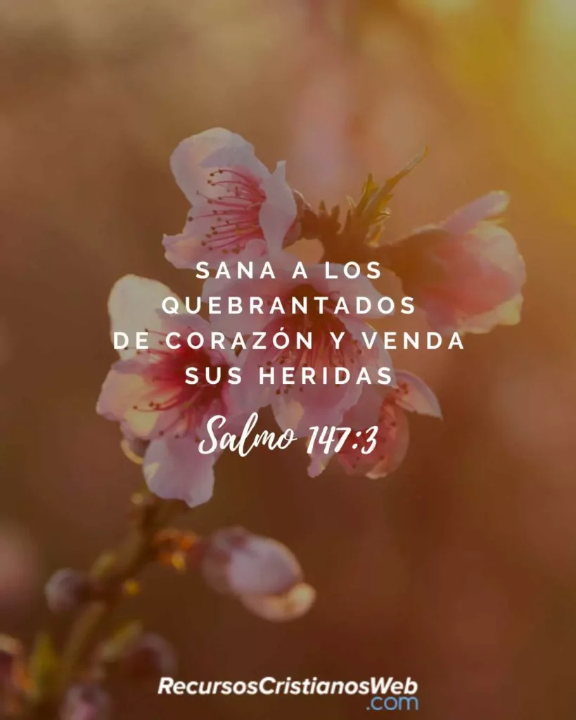 Salmo 147:3