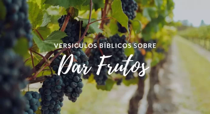 15 Versículos de la Biblia sobre Dar Frutos Espirituales