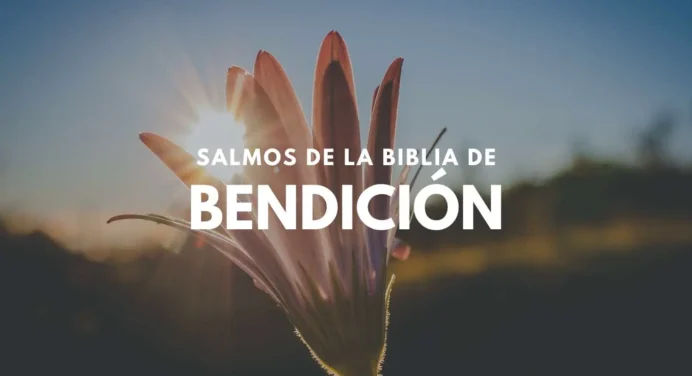25 Salmos de Bendición
