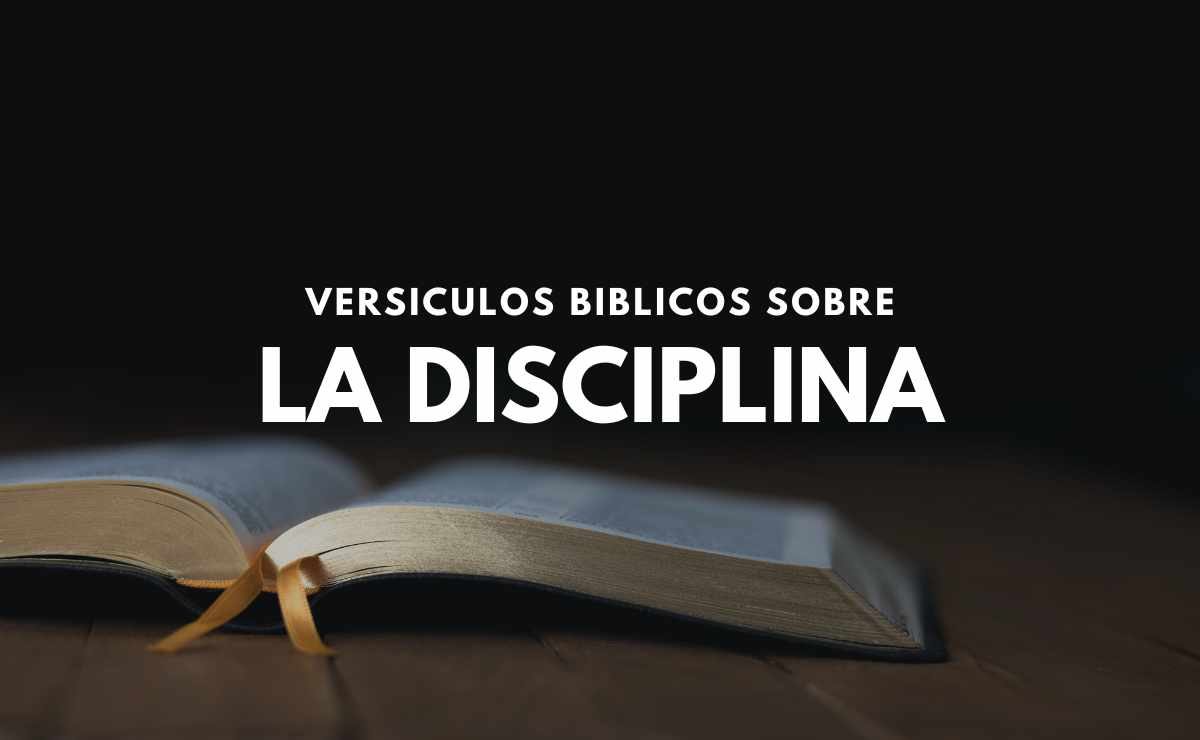 25 Versículos Bíblicos sobre la Disciplina