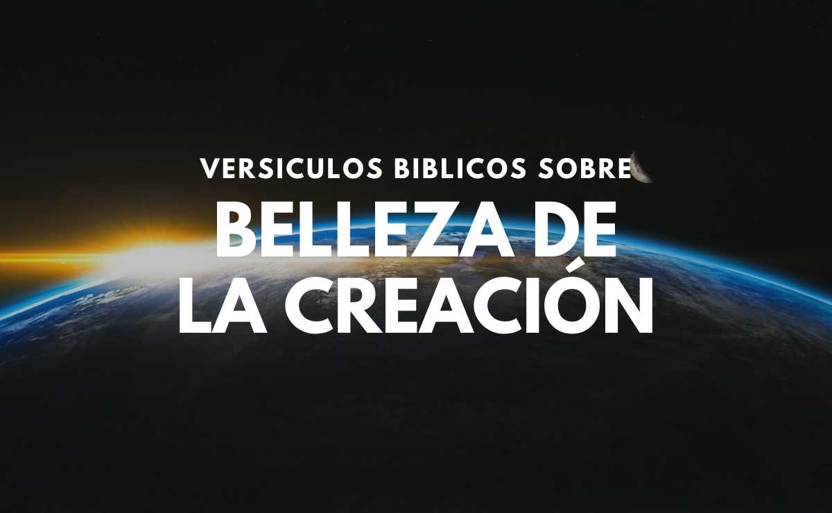 25 Versículos Bíblicos Sobre La Belleza De La Creación 1114