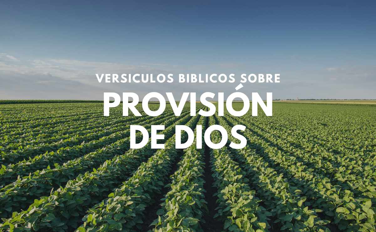 Versículos sobre la Provisión de Dios