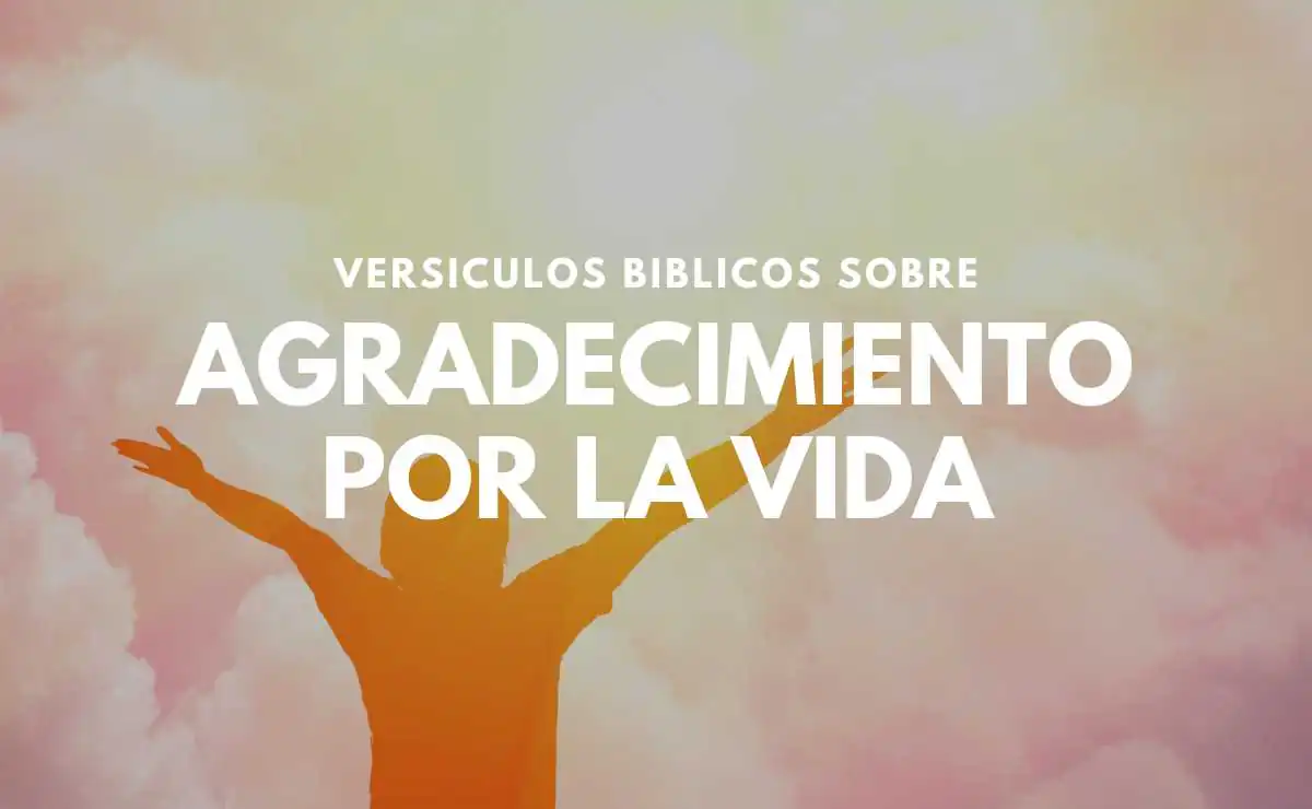 Versículos de Agradecimiento por la Vida
