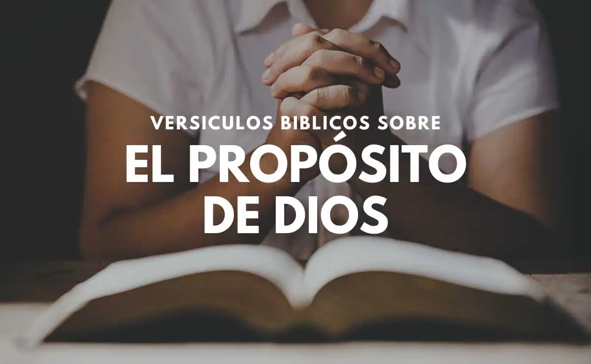 Versículos sobre el Propósito de Dios