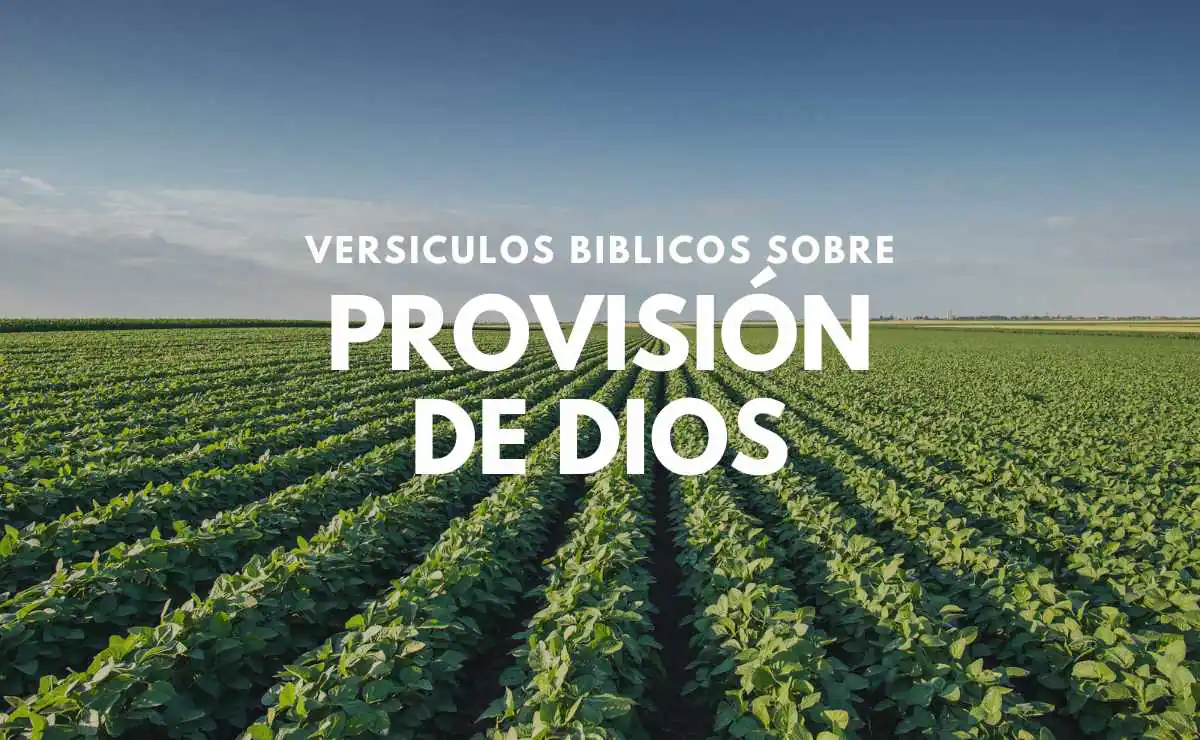 Versículos sobre la Provisión de Dios